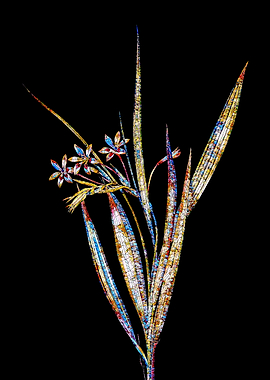 Prismatic Mosaic Botanical