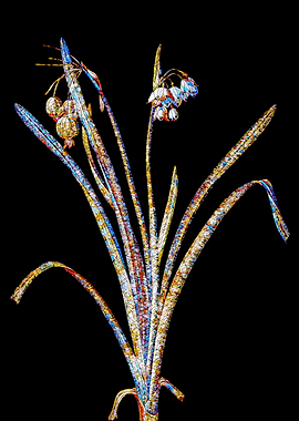 Prismatic Mosaic Botanical