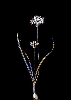 Prismatic Mosaic Botanical