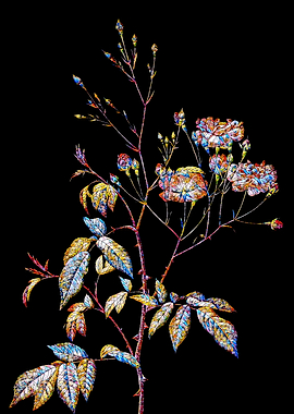 Stained Glass Rose Flower