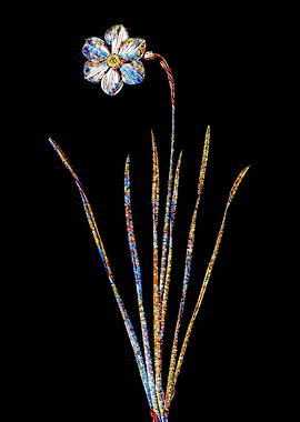 Stained Glass Narcissus