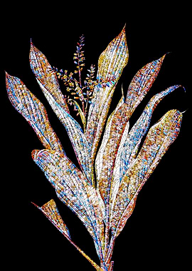 Prismatic Mosaic Botanical
