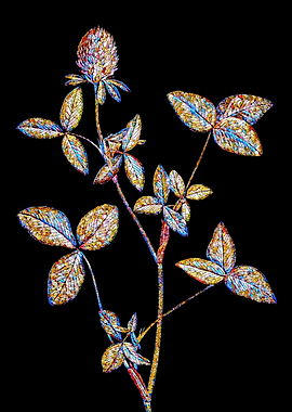 Stained Glass Botanical