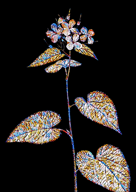 Stained Glass Botanical