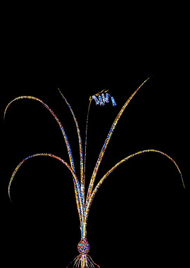 Stained Glass Botanical