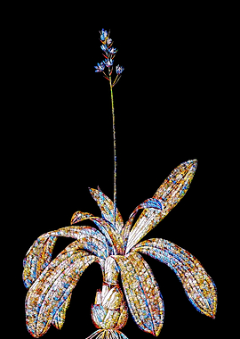 Rainbow Mosaic Flower Art