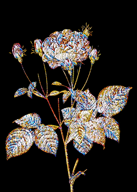 Stained Glass Rose Flower