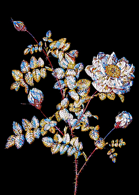 Prismatic Rose Mosaic