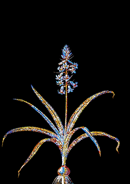 Rainbow Mosaic Flower Art