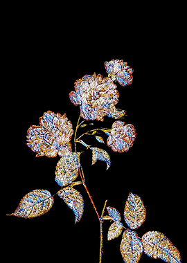 Stained Glass Rose Flower