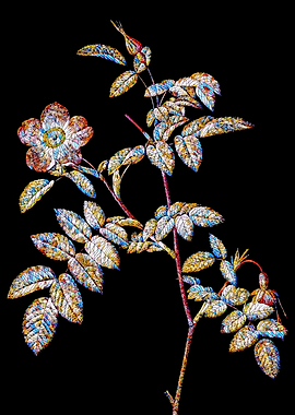 Stained Glass Rose Flower