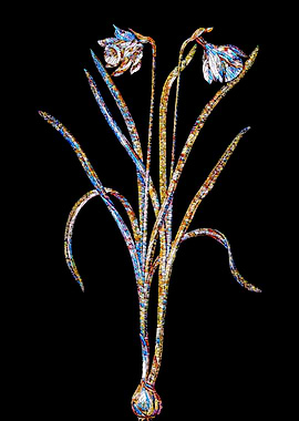 Stained Glass Narcissus