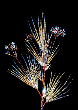 Stained Glass Botanical