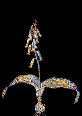 Prismatic Mosaic Botanical