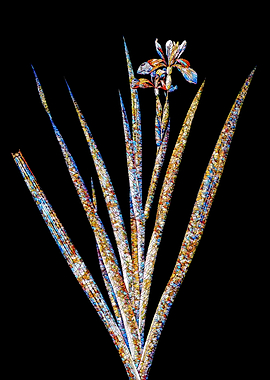 Stained Glass Iris Flower