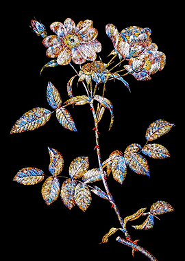 Stained Glass Rose Flower