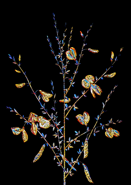 Prismatic Mosaic Botanical