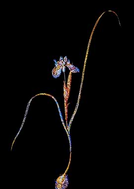 Stained Glass Botanical