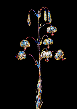 Stained Glass Botanical