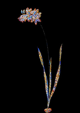 Stained Glass Ixia Flower