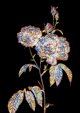 Stained Glass Rose Flower