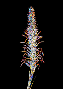 Rainbow Mosaic Flower Art