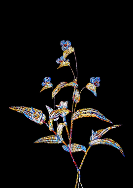 Stained Glass Botanical
