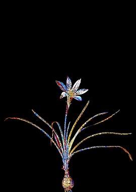 Prismatic Mosaic Lily