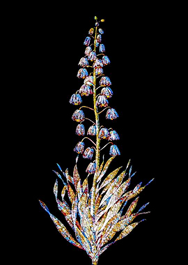 Stained Glass Lily Flower