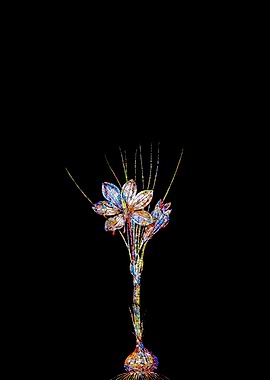 Prismatic Mosaic Crocus