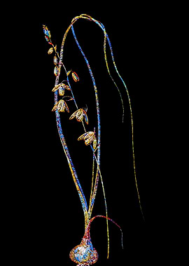 Stained Glass Botanical