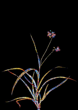 Rainbow Mosaic Flower Art