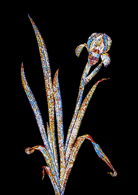 Stained Glass Iris Flower