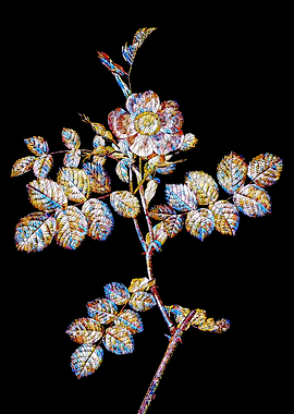 Stained Glass Rose Flower