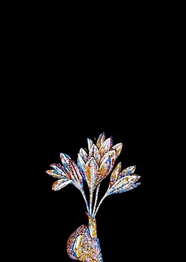 Stained Glass Crocus Plant