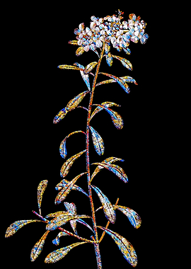 Rainbow Mosaic Flower Art