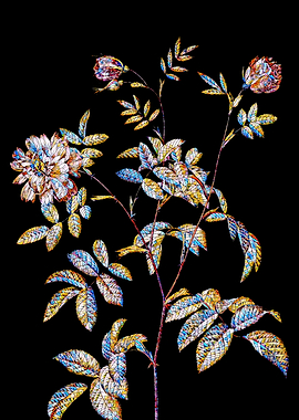 Prismatic Rose Mosaic