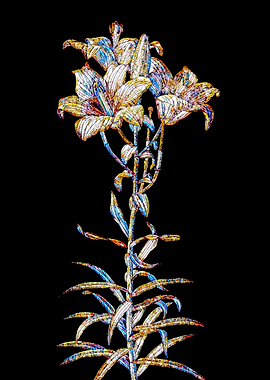 Stained Glass Lily Flower