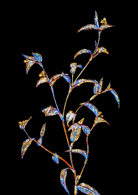 Prismatic Mosaic Botanical