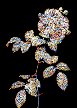 Prismatic Rose Mosaic