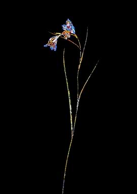 Stained Glass Botanical