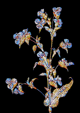 Prismatic Mosaic Botanical