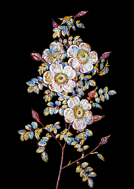 Prismatic Rose Mosaic