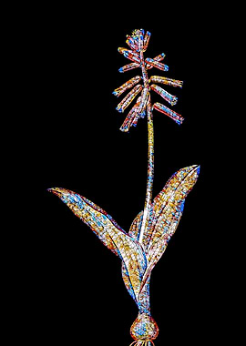 Stained Glass Botanical