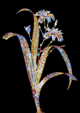 Stained Glass Iris Flower