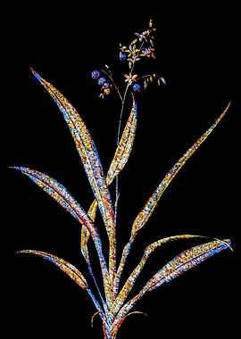 Prismatic Mosaic Botanical