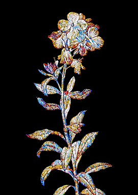 Prismatic Mosaic Botanical