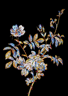 Stained Glass Rose Flower