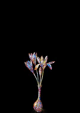 Prismatic Mosaic Crocus