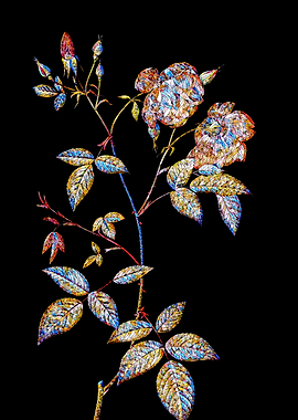 Prismatic Rose Mosaic